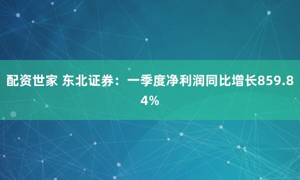 配资世家 东北证券：一季度净利润同比增长859.84%