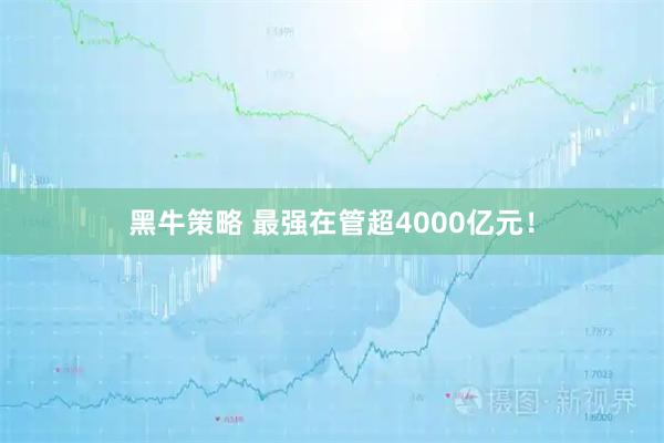黑牛策略 最强在管超4000亿元！