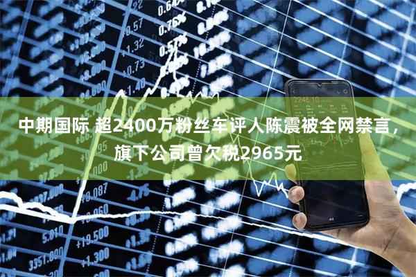 中期国际 超2400万粉丝车评人陈震被全网禁言,旗下公司曾欠税2965元