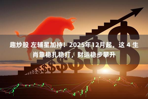 趣炒股 左辅星加持！2025年12月起，这 4 生肖靠稳扎稳打，财运稳步攀升